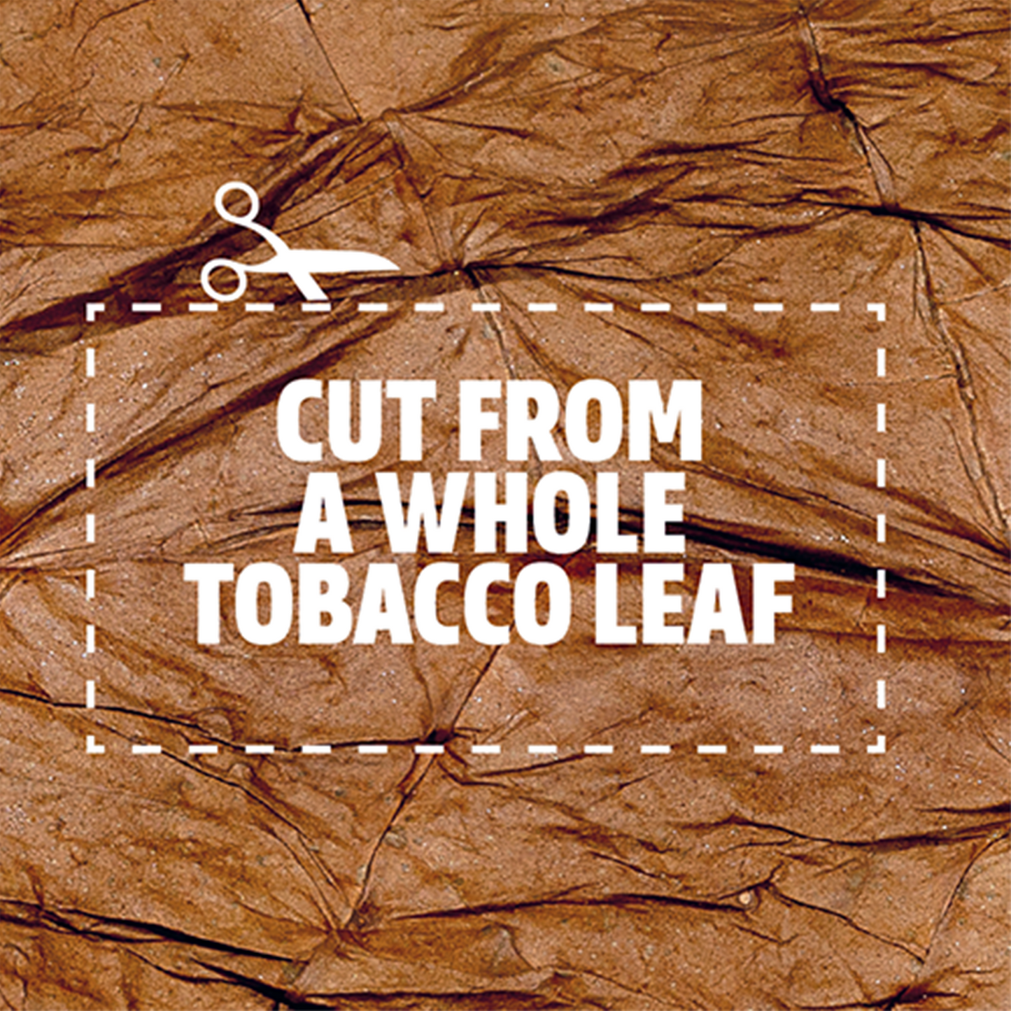 Al Capone  - Medium Tobacco Leaf Wrap (5pc)