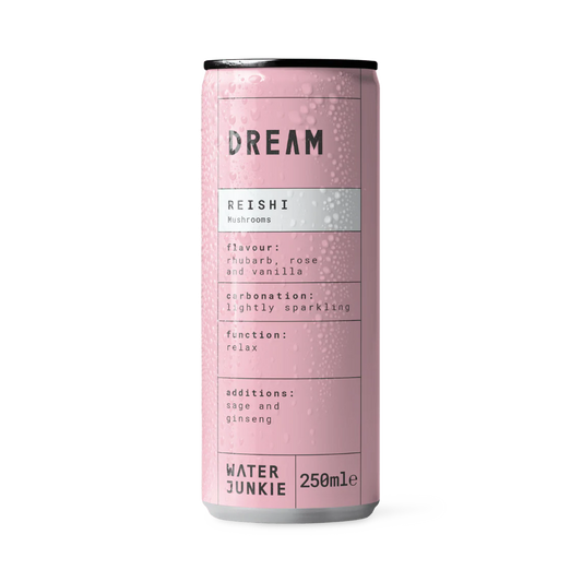 DREAM | Rhubarb, Rose + Vanilla - Sparkling Mushroom Drink (250ml)